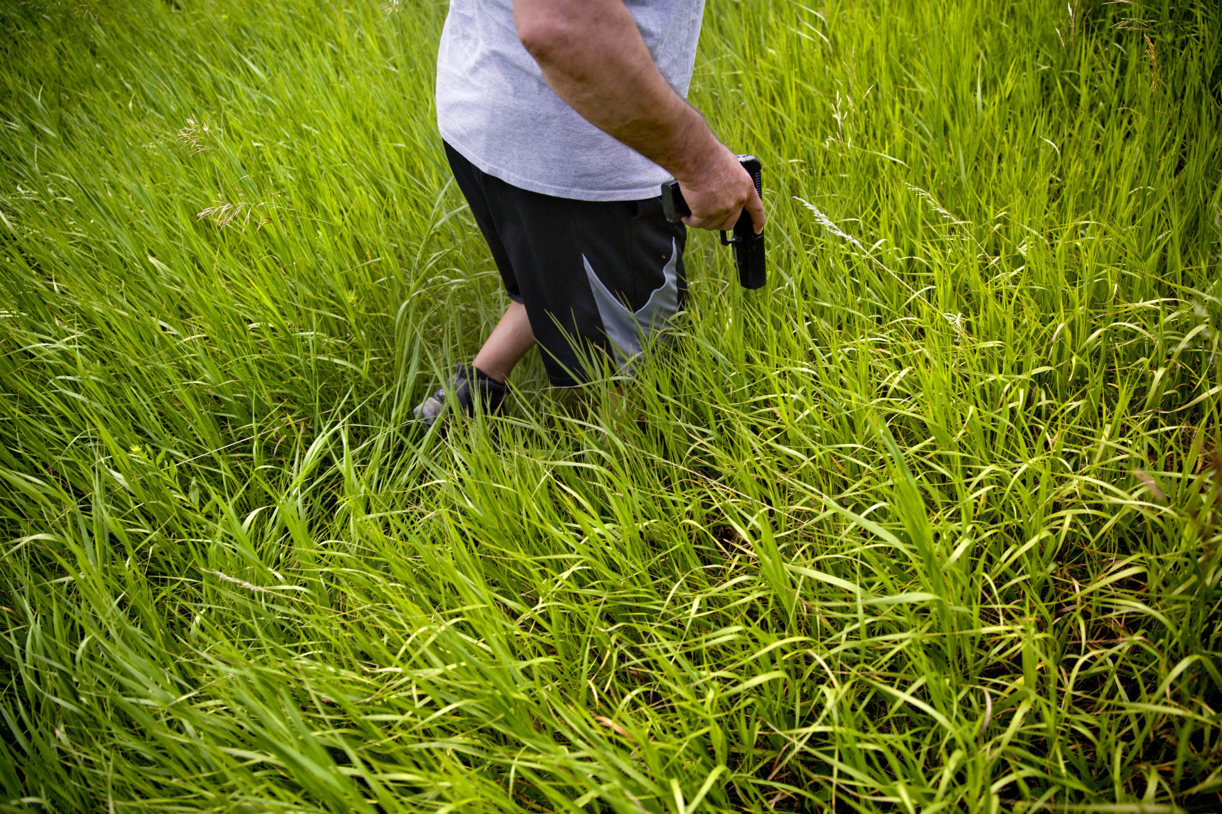 Searching in grizzly country